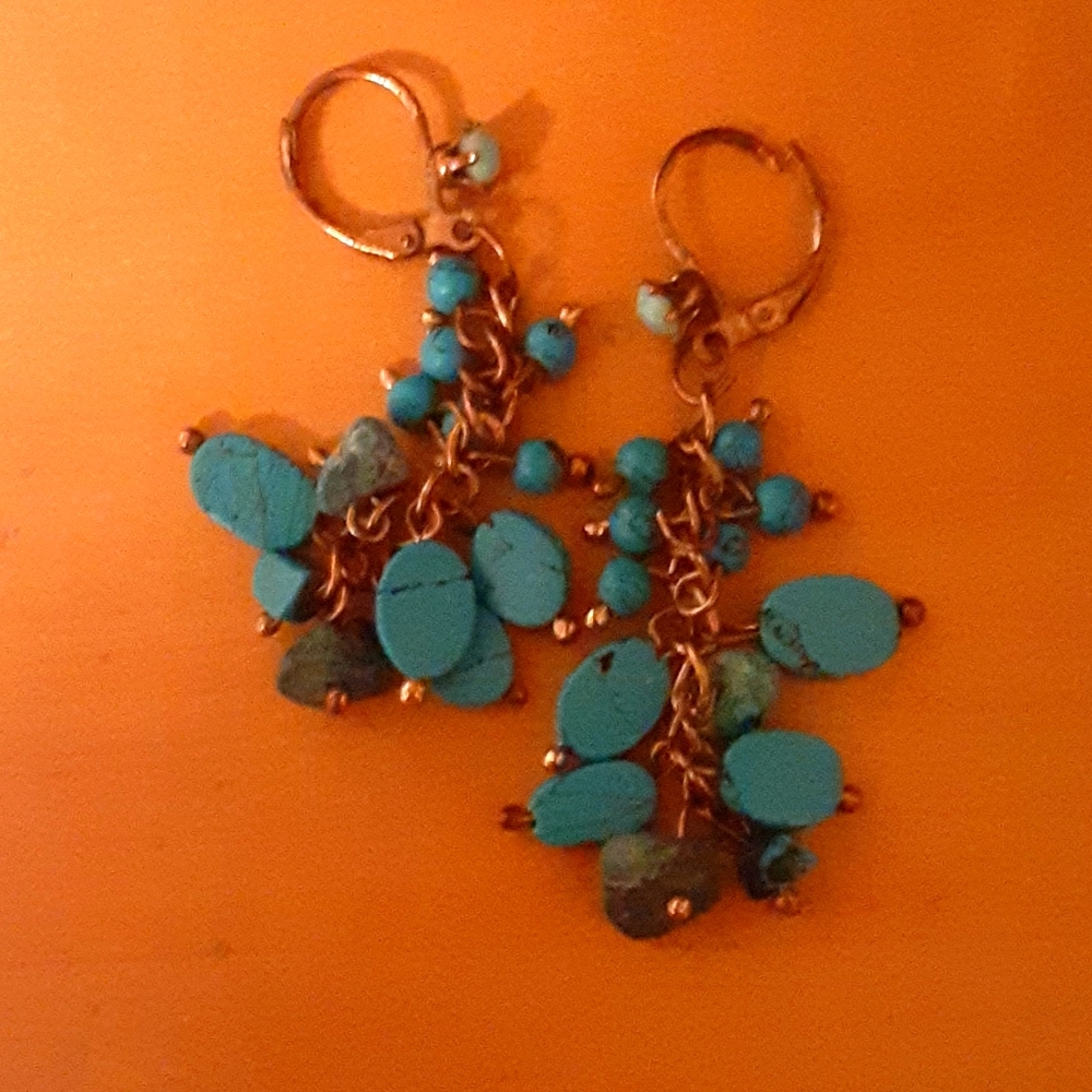 Pierced Howlite Earings